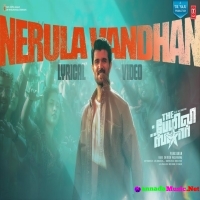 Nerula Vandhan Song (The Family Star) Anand